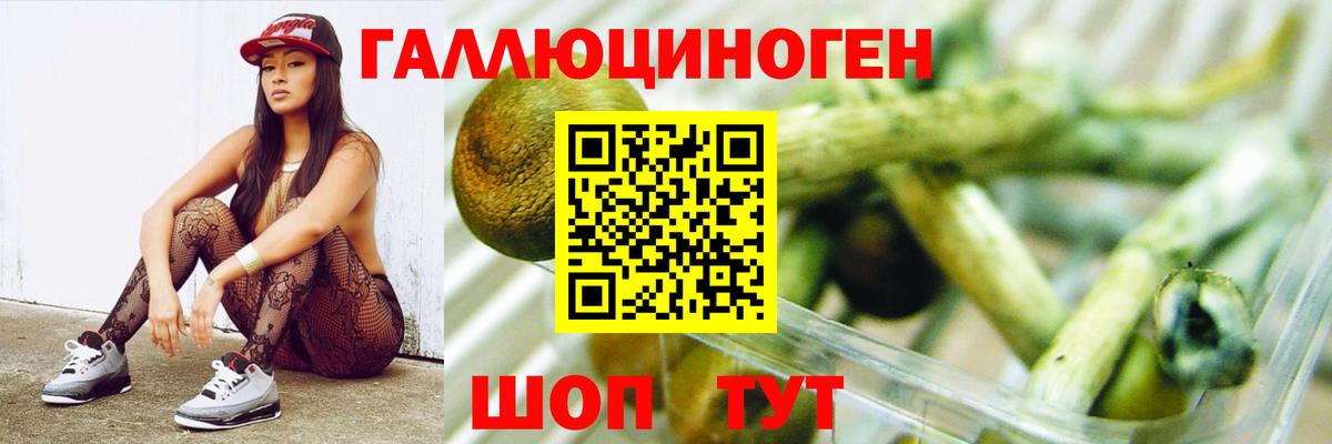 Псилоцибиновые грибы мухоморы Сухой Лог