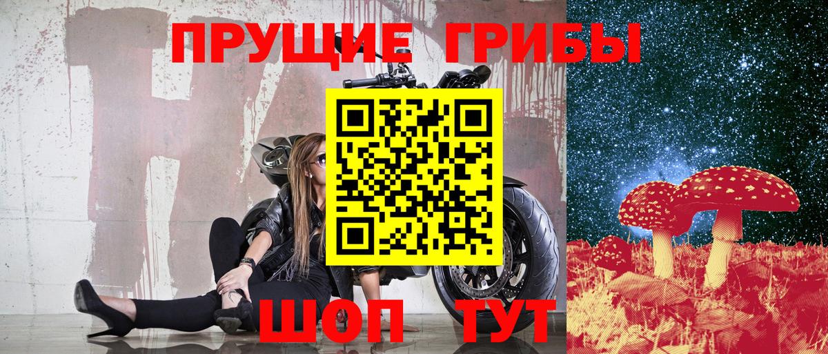 Сухой Лог  Псилоцибиновые грибы мицелий  Вход с VPN  Галлюциногенные грибы Cubensis 